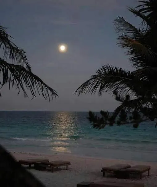 Exclusivo Con Piscina Privada Apartment Tulum